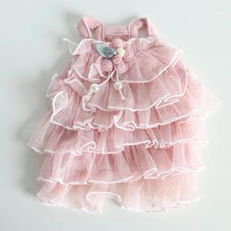 Dog Apparel Dress For Pet Wedding Lace Skirt Fashion Summer Tutu Puppy Cat Clothes Yorkies Maltese Shih Tzu Female Doggy Costume