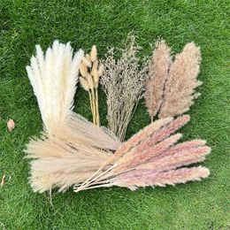 Decorative Flowers Wreaths 100Pcs Pampas Grass Home Decor Natural Dried Bunny Tails DIY Boho Wedding Arch Arrangement Farmhouse Bathroom Decoration 230906