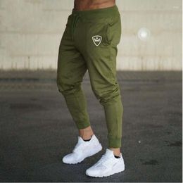 Men's Pants 2023 Spring Summer Casual Elastic Waist Loose Long Trousers Fashion Male Sweatpants Cargos Joggers