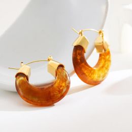 Hoop Earrings Vintage Transparent Brown Resin Thick For Women Fashion Round Circle Ear Buckle Statement Jewellery Party Gift