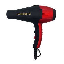 Electric Hair Dryer Hair Dryer And Styler Ac Motor Red Blue Color Home Ion Private Electric Hairdryer Free LabelL2030907