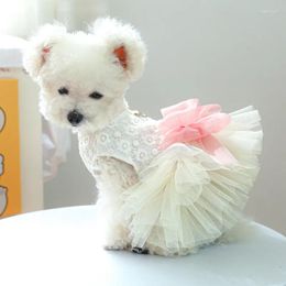 Dog Apparel Tutu Dresses White Summer Cat Pets Clothing Puppy Yorkies Pomeranian Shih Tzu Maltese Poodle Schnauzer Skirt Clothes Xs
