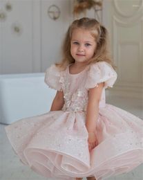 Girl Dresses Cute Blush Tulle Baby Girls Dress For Birthday Infant Tutu Party Gown Puffy Skirt Christmas