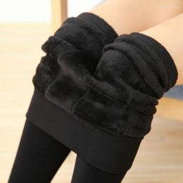 Active Pants Plush Thickened Pearl Velvet Leggings Autumn Winter Keep Feet Warm Elastic Wear-resistant Not Easily Deformed Wear Externally