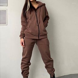 Women's Two Piece Pants 2023 Autumn Solid Colour Casual Lady Outifits Women Sport Coats Pieces Sets Long Sleeve Zip Up Hooded Tops Trousers