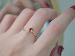 Cluster Rings Fashion 925 Silver Inlaid Natural Ruby Ring For Women Simple And Cute Factory Wholesale Can Be Customised