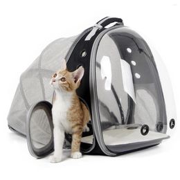 Cat Carriers Backpack Carrie Back Extension Space Clear Bubble Pet For Kitten Small Dog Vet Bookbag
