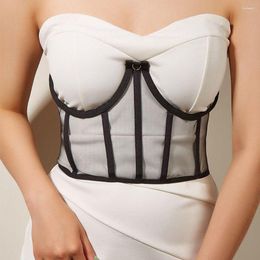 Belts Simple Personality Wide Belt Bandage Chest Support Chain Tie Cummerbunds Women Waist Slim Corset