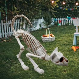 Other Event Party Supplies Skeleton Cat Decor Plastic Skeleton Ornament Decorative Creepy Animal Bones Yard Garden Decoration Festival Ambience 230906