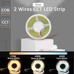 DC12V 24V CCT COB Strip Light 5M White Dimmable Dual Color Temperature Adjustable 600 Leds/M Flexible Ribbon CW WW LED Lighting