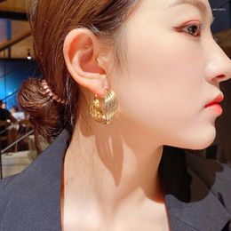 Hoop Earrings Exaggerated Twisted Metal Temperament Simple Fashion Style 925 Silver Needle