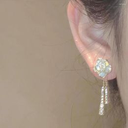 Hoop Earrings Style Trendy Diamond Tassel High-end Sense Long Stud Women's Jewellery Camellia
