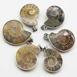 Pendant Necklaces Quality Natural Snail Shell Pendants Sea Conch Whelk Sliver Edge Necklace Fashion Charms Jewelry Gift Accessories