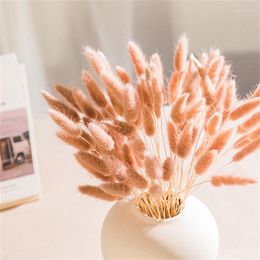 Decorative Flowers 100Pcs Wedding Floral Dry Lagurus Ovatus Tails Dried Exquisite Home Decoration DIY Living Room Decor