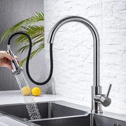 Kitchen Faucets Pull Out Sink Faucet With 2 Sprayer Mixer Tap Stainless Steel