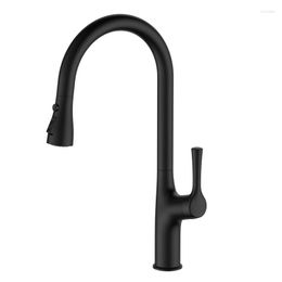 Kitchen Faucets Modern Pull Out Faucet Zinc Alloy Full Body Handle ABS Double Function Shower Head Stainless Steel Bend Sink Faucet.