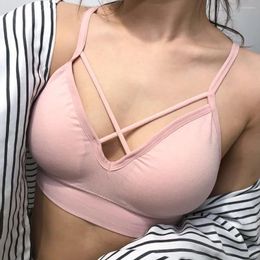 Yoga Outfit Summer Beautiful Back Wrapped Chest Anti-glare Gathered Bra Student Girl Models Without Steel Ring Underwear Sports Set