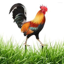 Garden Decorations Rooster Statue 2D Acrylic Sculpture Chicken Figurine Poultry Hen Toy For Outdoor Backyard Doration