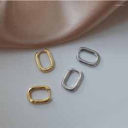 Hoop Earrings 925 Silver Needle HipHop Oval Earring For Women Girls Party Wedding Trendy Jewelry Eh407