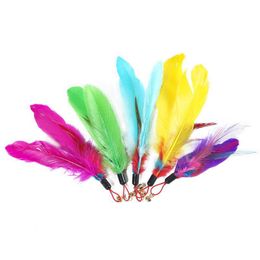 Cat Toys Color Feather Cats Toy Plastic Pendant Creative Funny Stick Replacement Head Pet 5 Colors Drop Delivery Home Garden Dhgarden Dhuw3