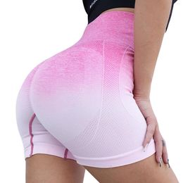 Gym Clothing Gradient Colouring Sports Shorts For Women Seamless High Waist Anti-Slip Dating Workout Daily Wear