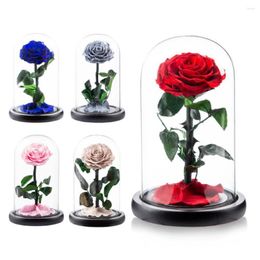 Decorative Flowers Beautiful Non-fading Aesthetic Rose Flower In Glass Cover Ornament Visible Festival Supplies