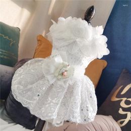 Dog Apparel 2023 Lace Dress Bear White Yarn Wedding For Small Large Cute Clothes Girls Dropship Suppliers