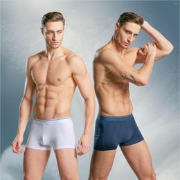 Underpants 2023 Men's Underwear 40S Cotton Boxer Pants Plus Size Flat Corner Shorts Knitted Solid Colour For Male