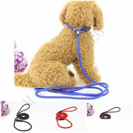 Dog Collars Leashes 4 Colours Pet Nylon Rope Training Leash Slip Lead Strap Adjustable Traction Collar Animals 0.6X130Cm Drop Delivery Dhcvd