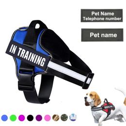 Dog Collars Leashes Drop kalung anjing sesuai pesanan Harness reflektif dapat disesuaikan Tank Top gratis Label nama perlengkapan latihan 230907