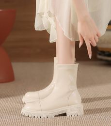New English style chunky skinny boots Fashion platform ankle boots woman winter leather back zipper short boots