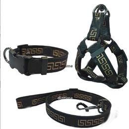 Fashion Dog Collars Leashes Set Pet Leash Seat Belts Pet Collar And Pets Chain Letter Dogs Cat Supplies q289q