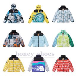 Designer mens puffer jackets womens letter print north coats couples warm waterproof outerwear jacket for male face size M-XXL H2318J