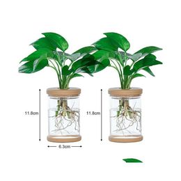 Vases Transparent Hydroponic Vase Imitation Glass Soilless Planting Potted Green Plant Resin Flower Pot Home Decor Drop Delivery Gard Otrwb