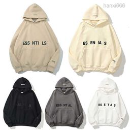 Men's Designer Hoodys Couples Sweatshirts Top Quality Velvet Sweater Ess Pullovers Women Winter Oversized Jumpers Street S-3xl