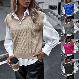 Sweaters Womens Fashionable Knitted Vest Autumn And Winter Sleeves Twisted Flower V Neck Top