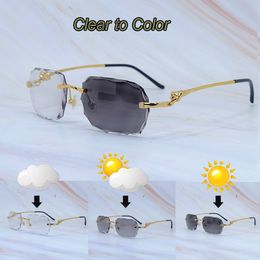 Photochromic Lens Sunglasses Panther Diamond Cut Color Change Two Colors Lenses 4 Season Glasses Interchangble Luxury Rhinestones Carter Eyewear Gafas De Sol