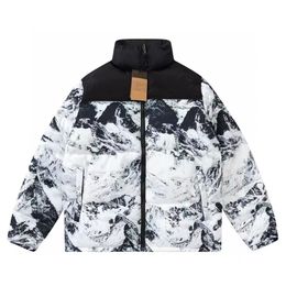 Mens designer down jackets winter pure cotton womens jacket parka coat windbreaker couple warm Coats man women Hoodie coats size M-XXL