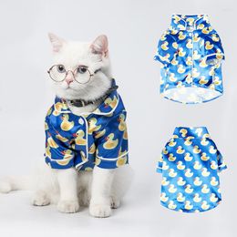 Cat Costumes Cosplay Clothes For Dog Costume Pajamas Cute Goods Funny Kittens Sphinx Fancy Products 2023 Roupa Glasses Disfraz Gato