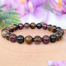 Beaded Mg1492 Strand Capricorn Zodiac Gemstone Bracelet Tigers Eye Black Tourmaline Smoky Quartz Garnet Crystals Jewelry Jan Dhgarden Dhfil