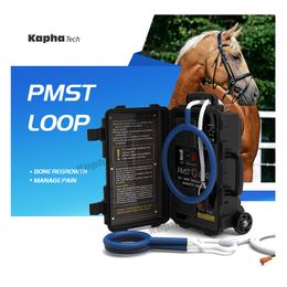 PEMF For Horse Health Rehabilitation And Hock Disease Pain Relief Physiotherapy Machine