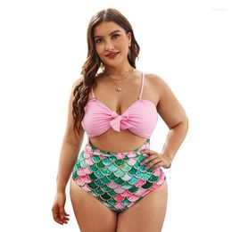 Women's Swimwear 2023 European And American Sexy Large Size Printed High Waist Split Bikini Swimsuit Factory Wholesale