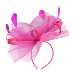 Bandanas Barrette Hat Wedding Mesh Fascinator Tea Party Headpiece Banquet Headdress Fascinators Women