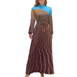 Casual Dresses Namib Desert Dress Long-Sleeve Landscape Print Vintage Maxi High Neck Fashion Boho Beach Long Birthday Present