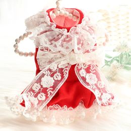 Dog Apparel Small Clothes Wedding Dress Woollen Coat Pet For Chihuahua Yorkies Teddy Cat Skirt Autumn And Winter Lace