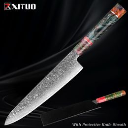Premium Damascus steel chef's knife round stable wood handle Japan vg10 67 layers super sharp kitchen knife Custom Cooking Knife