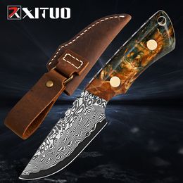 Full Tang Damascus Steel Utility Knife Kitchen Fruit Paring Slicing Pocket Knife Stabilized Wood Colorful Handle Super Sharp