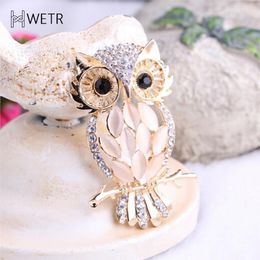Pins Brooches Big Owl Brooches For Wedding Bouquet Vintage Wedding Hijab Scarf Pin Up Buckle Femininos Brooches Couple Collar Jewelry Pins 230909