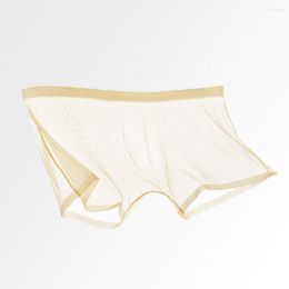 Underpants Men Sexy Transparent See-Through Mesh Shorts Panties Ultra-Thin Seamless Breathable Mid-rise