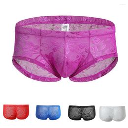 Underpants 2023 Men Lace Sheer Low Waist Mesh Comfortable Gay Underwear Small Transparent Boxer Briefs Panties